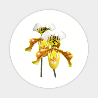 Twin Sisters Orchids Magnet